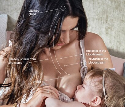 408px x 350px - 12 Reasons Why Your Baby Might Be Refusing Your Breast | LOVI